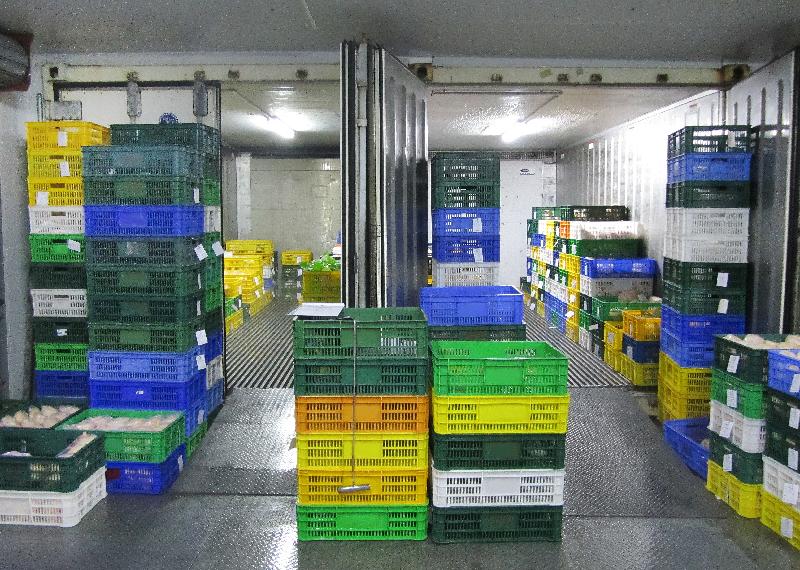 The Food and Environmental Hygiene Department today (May 10) raided an unlicensed cold store on Ping Che Road, Fanling.