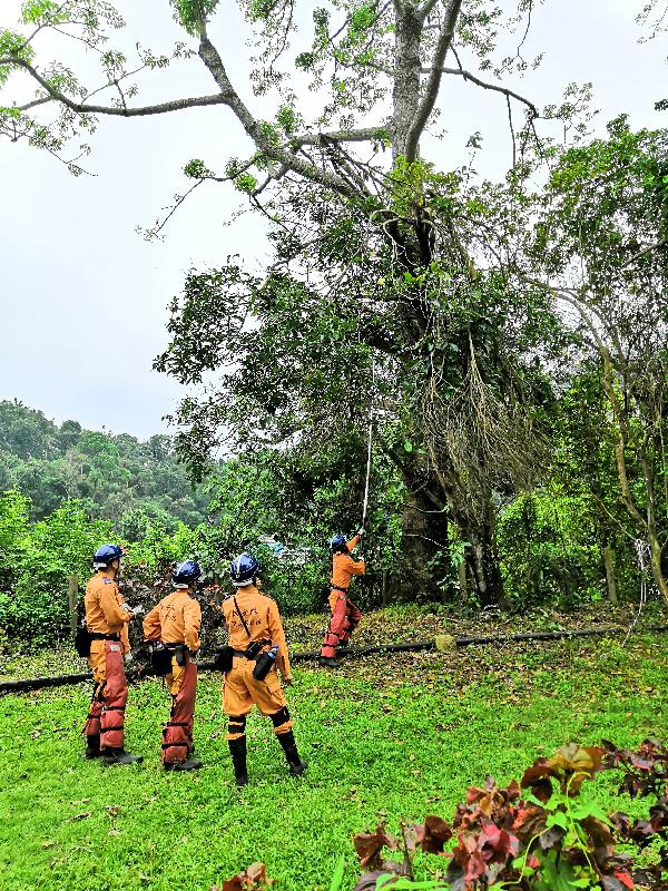 The Civil Aid Service (CAS) today (May 13) concluded its biennial large-scale exercise. The exercise was codenamed "Challenger" and lasted for two days. Photo shows CAS members undertaking tree clearance.