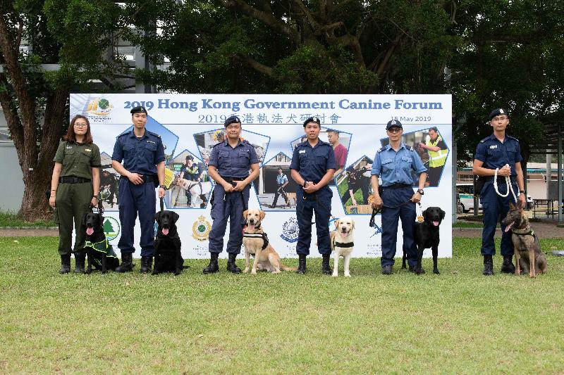 香港海关今日（五月十五日）在香港海关学院举办「香港执法犬研讨会」。图示参与联合演练的领犬员及他们的犬只。