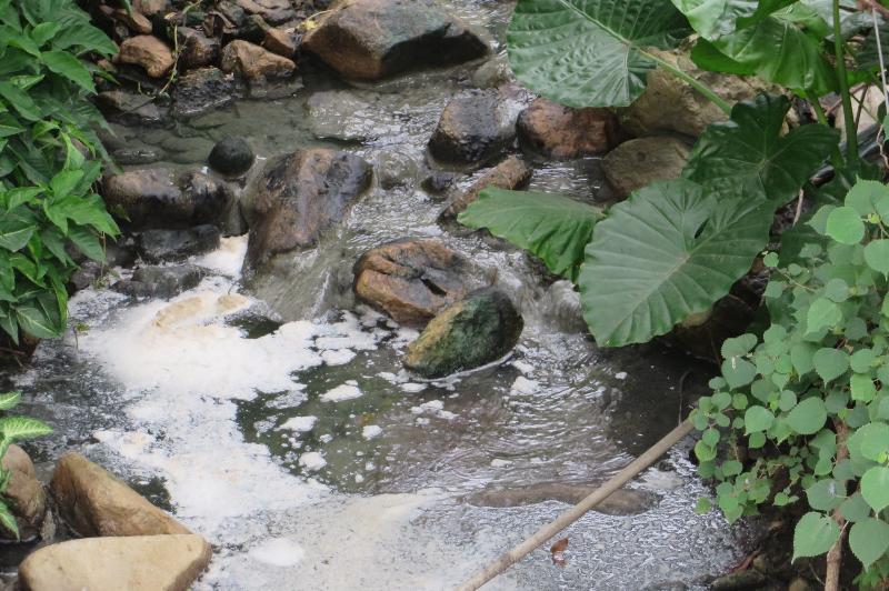 元朗八鄉上村的豆品工場排出含有豆腐殘渣的廢水，嚴重污染附近一帶水體而被環保署檢控。