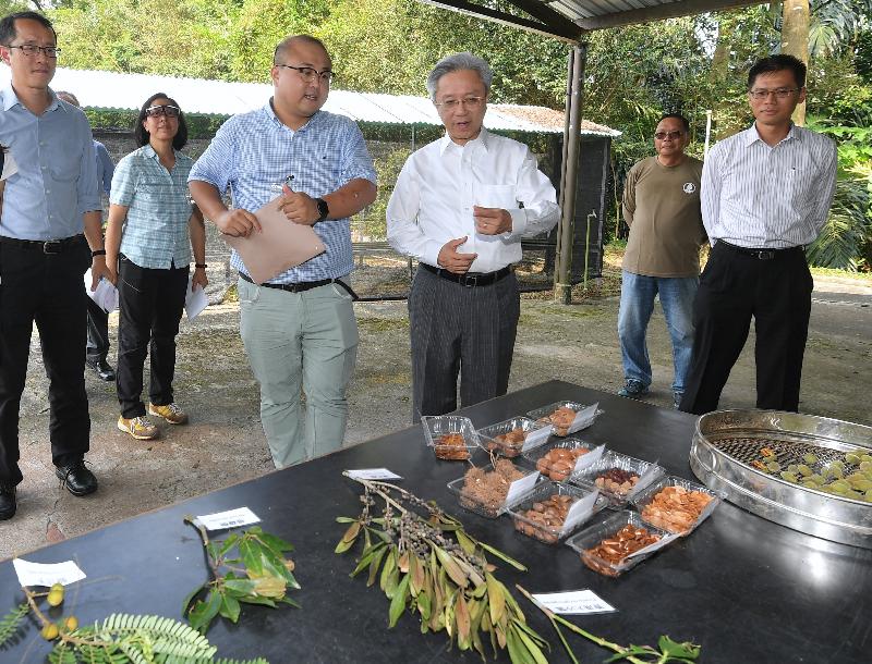 公務員事務局局長羅智光今日（八月十四日）到訪漁農自然護理署元朗大棠苗圃。圖示羅智光（右三）聽取同事講解他們為郊野公園培育樹苗的過程。