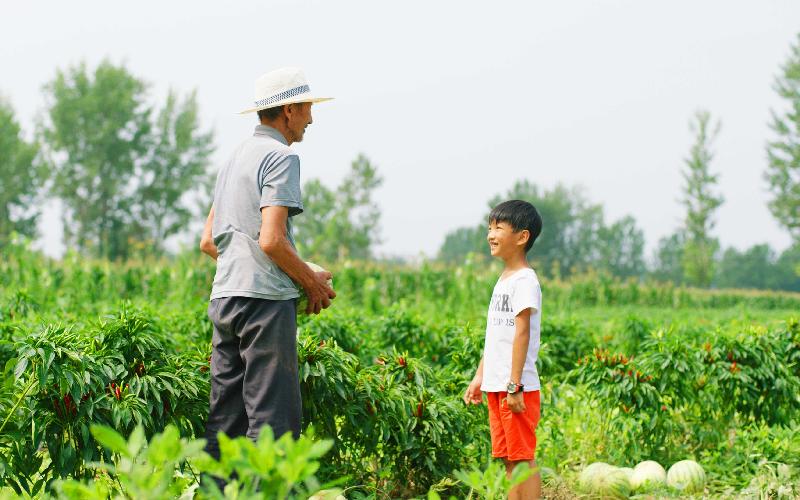 Jointly presented by the Leisure and Cultural Services Department and the South China Film Industry Workers Union, "Chinese Film Panorama 2019" will be held from September 3 to October 13, and will present 18 movies recently produced by the Mainland. Photo shows a film still of "Crossing The Border – Zhaoguan". (2019)