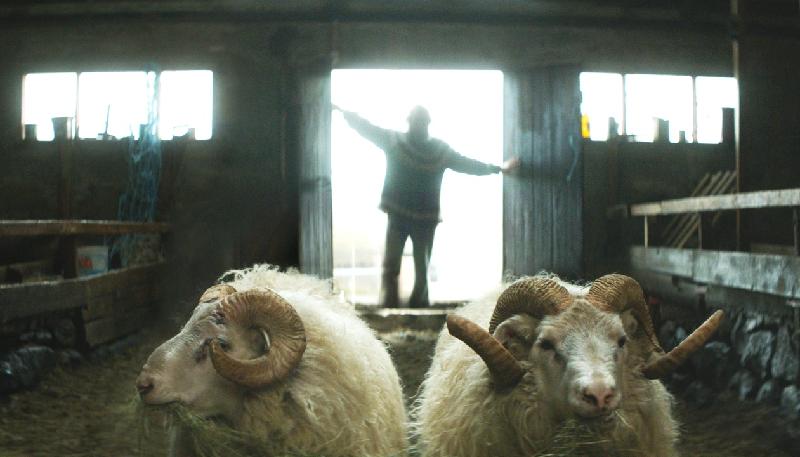 The Nordic Film Festival 2019 presented by the Film Programmes Office of the Leisure and Cultural Services Department will showcase 15 films from the five Nordic countries, Denmark, Finland, Iceland, Norway and Sweden, from October 18 to November 17. Photo shows a film still of "Rams" (2015).