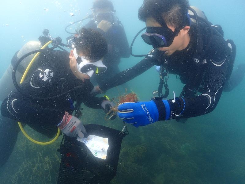 The Agriculture, Fisheries and Conservation Department and the Hong Kong Underwater Association jointly held a Coastal Clean-up Day for the sixth year at Sharp Island in Sai Kung today (September 21). Photo shows a volunteer diver picking up rubbish from the seabed.