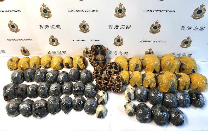 香港海关昨日（九月二十八日）在香港国际机场检获五十七只怀疑濒危物种活龟，估计市值约港币三十四万元，案件亦怀疑涉及残酷对待动物的行为。 