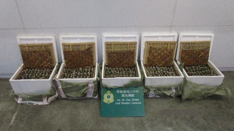 The Customs and Excise Department and the  Food and Environmental Hygiene Department seized 446 suspected smuggled hairy crabs with an estimated market value of about $9,000 at the Lok Ma Chau Control Point during a joint operation on October 2. This is the first major seizure of suspected smuggled hairy crabs made this year. 