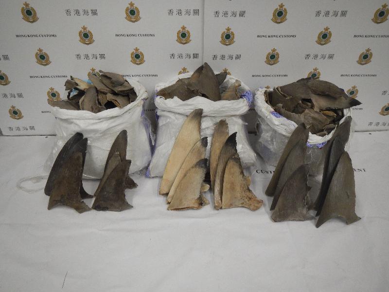 Hong Kong Customs yesterday (October 14) seized about 27 kilograms of suspected scheduled dried shark fin with an estimated market value of about $27,000 at Hong Kong International Airport.