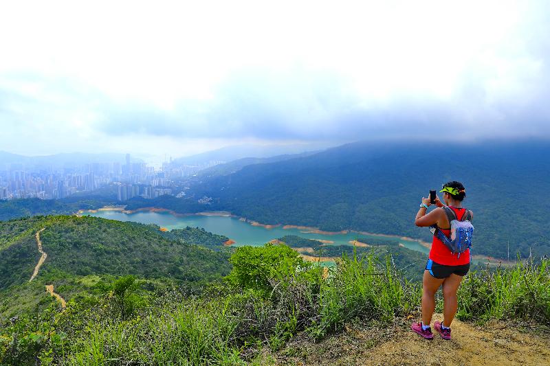 The Agriculture, Fisheries and Conservation Department will hold the MacLehose Trail 40th Anniversary Celebration Day at Shing Mun Country Park (Sections 6 and 7 of the MacLehose Trail) this Saturday (October 26). One of the featured activities will be the hiking challenge to Needle Hill. Photo shows the natural scenery around Needle Hill.