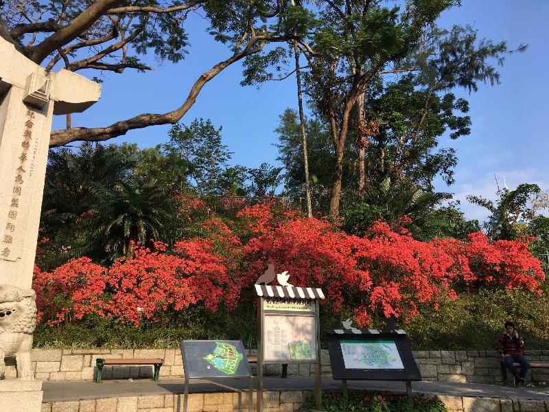 The Leisure and Cultural Services Department will hold a horticultural education exhibition entitled "Hong Kong Biodiversity" and related activities this weekend (November 2 and 3) at the Arcade of Kowloon Park. Admission is free.