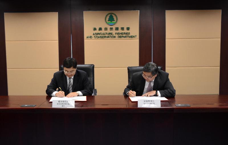 To actively implement the Outline Development Plan for the Guangdong-Hong Kong-Macao Greater Bay Area, and to strengthen the exchange and co-operation between Guangdong and Hong Kong and promote high quality agricultural development in the Greater Bay Area, the Director of Agriculture, Fisheries and Conservation, Dr Leung Siu-fai (right), and the Director-General of the Department of Agriculture and Rural Affairs of Guangdong Province, Mr Gu Xingwei (left), sign a framework agreement on the co-operation in agricultural matters today (November 13).