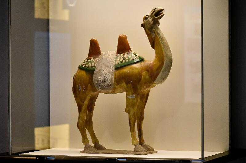 The exhibition "Unlocking the Secrets - The Science of Conservation at The Palace Museum" is being held at the Hong Kong Science Museum from December 14 until March 18, 2020. Picture shows the pottery figure of a camel in tri-colour glaze, which is in the collection of the Palace Museum. One of the key issues in the conservation of this item was how to attach the heavier neck to the hollow trunk given the small contact surface.