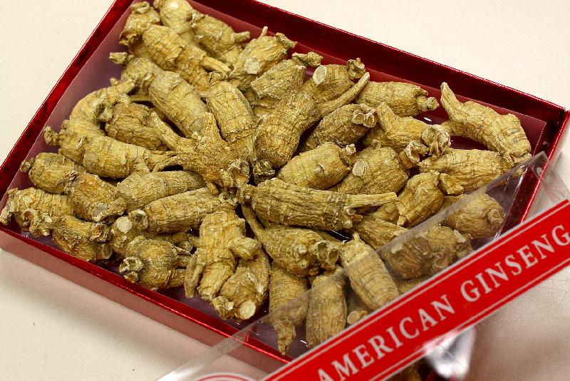 The Agriculture, Fisheries and Conservation Department and the Hong Kong Customs today (January 17) reminded travellers not to bring endangered species into Hong Kong without a required licence when returning from visits to other places. American ginseng (pictured) is among the most commonly seized regulated species. 