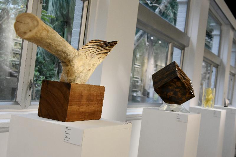 The "Art Specialist Course 2019-20 Graduation Exhibition" will be held from today (January 17) to February 2 at the Hong Kong Visual Arts Centre. Picture shows Art Specialist Course (Sculpture) graduate Leung Sze-ling's artwork "Progressive".
