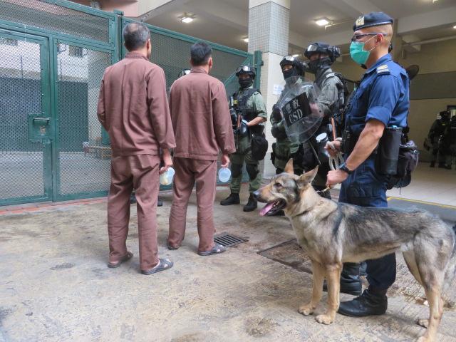 The Correctional Services Department (CSD) launched an operation to combat illicit activities at Tai Lam Correctional Institution today (March 26). Photo shows the deployment of CSD reinforcements at the institution to conduct a surprise search on target persons in custody.