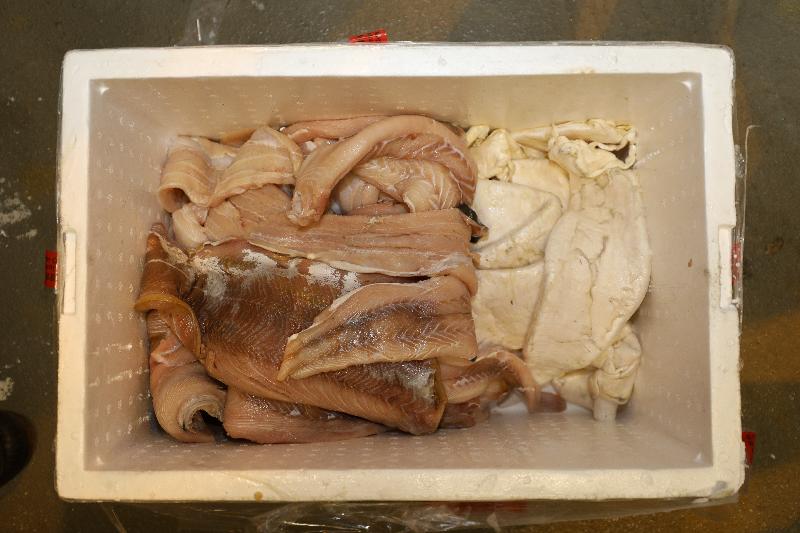 香港海关六月四日在香港国际机场检获约一百六十公斤怀疑受管制石首鱼鱼肚，估计市值约二千五百万元，以重量及价值计算，均打破以往同类检获石首鱼鱼肚单一案件的纪录，亦超越过往海关有纪录以来检获量的总和。今次为海关首次检获鲜石首鱼鱼肚，过去所检获的均为乾石首鱼鱼肚。图示部分在发泡胶箱内检获与冰鲜鱼柳混杂一起的怀疑受管制石首鱼鱼肚。