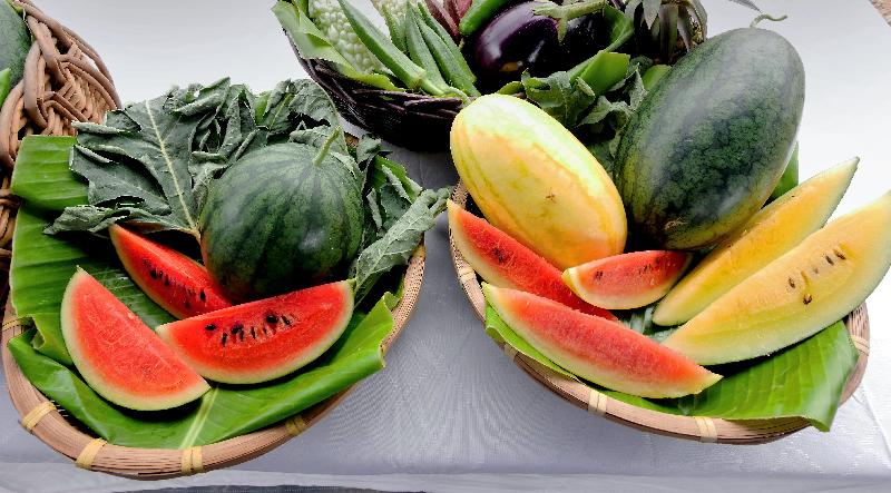 The Agriculture, Fisheries and Conservation Department today (June 24) introduced three highlighted varieties of organic watermelons for the Local Organic Watermelon Festival. Photo shows the highlighted varieties of watermelons, namely Hami Yellow Flesh, Super Sweet Black Angel 168 and Diana, introduced from Japan, Australia and Taiwan respectively.