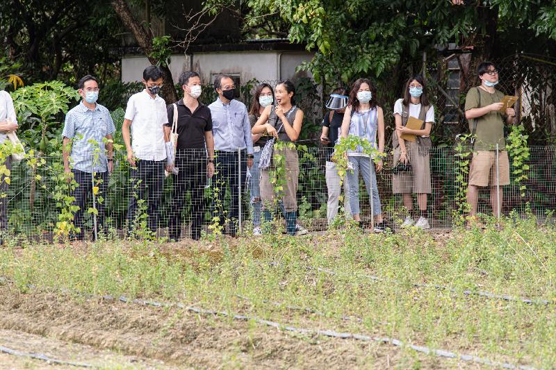 Members of the Legislative Council (LegCo) conducted a site visit to Kwu Tung today (June 30) to follow up on complaints relating to the Kwu Tung North New Development Area project. Photo shows LegCo Members visiting farmers in Ma Shi Po Village, Fanling, to understand their concerns over agricultural rehabilitation.