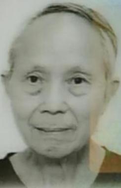 Chan Hon-chung is about 1.6 metres tall, 50 kilograms in weight and of thin build. He has a long face with yellow complexion and short greyish-white hair. He was last seen wearing a dark blue short-sleeved shirt, grey trousers and blue slippers. 