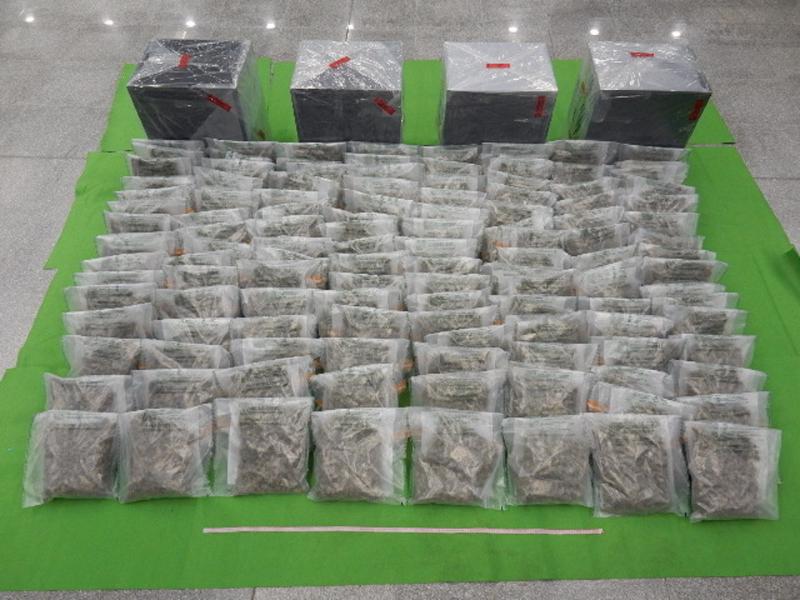 香港海关昨日（八月十八日）在香港国际机场检获约六十公斤怀疑大麻花，估计市值约一千七百万元。图示检获的怀疑大麻花及用作收藏该批大麻花的四个金属箱。