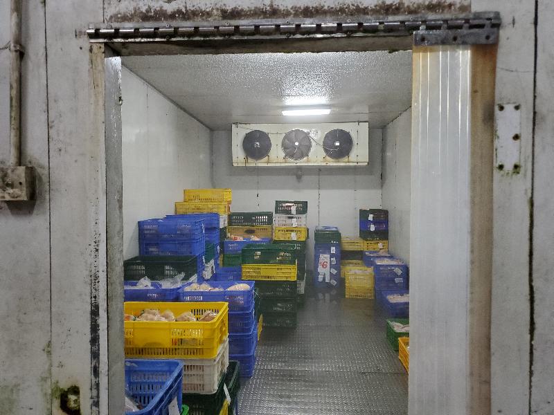 The Food and Environmental Hygiene Department raided an unlicensed cold store at Tai Shu Ha Road West, Yuen Long early this morning (September 12).