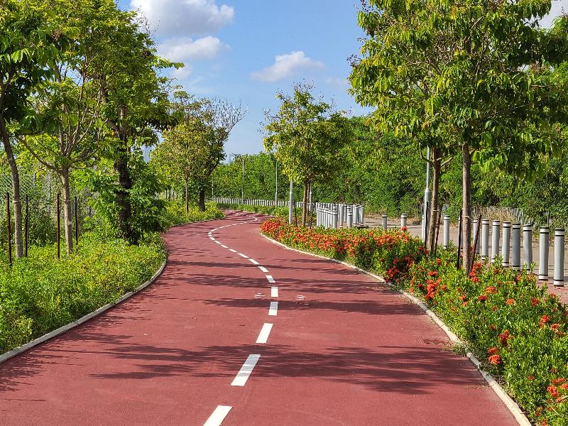 The new cycle track linking Yuen Long with Sheung Shui will open for public use tomorrow (September 29). Photo shows the section along Yau Pok Road in Yuen Long.