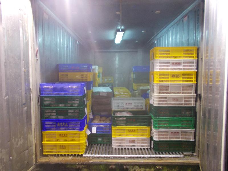 The Food and Environmental Hygiene Department raided an unlicensed cold store at Sha Tau Kok Road - Wo Hang in the North District early this morning (September 29).