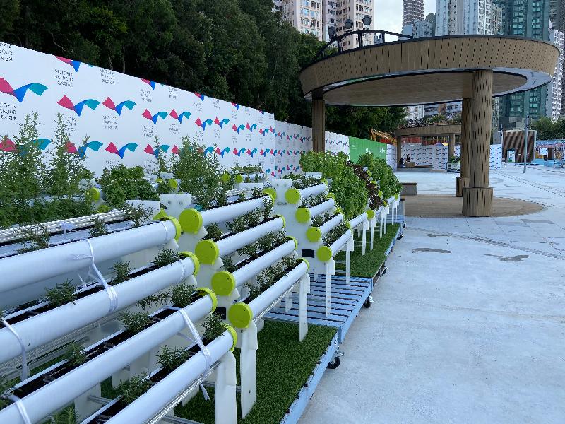 The Belcher Bay harbourfront open space located at Shing Sai Road, Kennedy Town, was fully opened today (October 19), providing the public with a round-the-clock leisure space for enjoying a panoramic view of the western waters of Victoria Harbour and the sunset. Photo shows the farming racks in the open community garden.