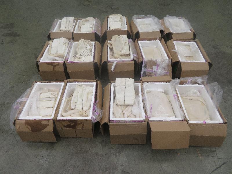 香港海關十月二十七日在香港國際機場檢獲約一百一十四公斤懷疑受管制鮮石首魚魚肚，估計市值約一千八百萬元。圖示檢獲的懷疑受管制鮮石首魚魚肚。