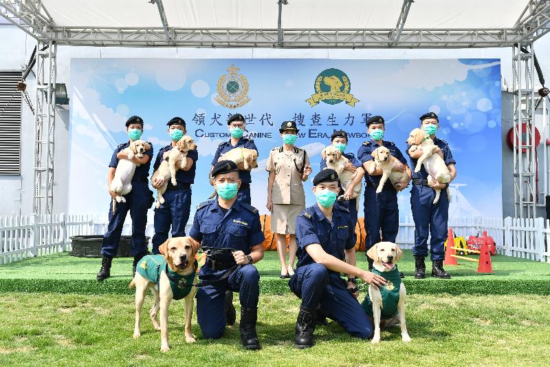 香港海关助理关长（边境及港口）吴洁贞（后排中）今日（十一月三日）与六只幼犬、幼犬母亲「菲菲」（前排右一）和幼犬父亲「库柏」（前排左一）合照。