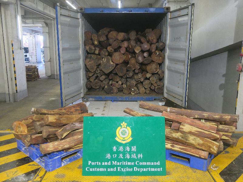 Hong Kong Customs detected three smuggling cases involving scheduled wood logs at the Kwai Chung Customhouse Cargo Examination Compound between October 21 and today (November 9). A total of about 34 tonnes of suspected scheduled wood logs of endangered species, with an estimated market value of about $1.1 million in total, were seized. Photo shows the suspected scheduled wood logs of endangered species seized in the third case.