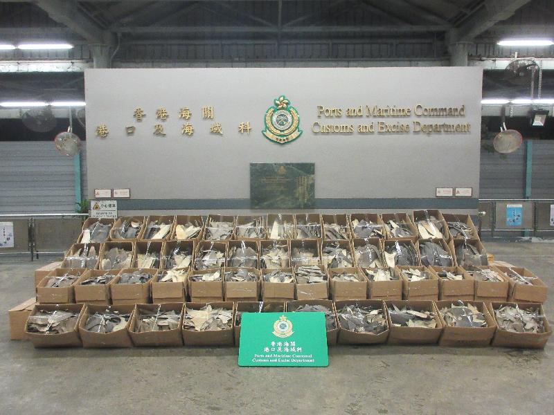 Hong Kong Customs yesterday (November 9) seized about 1.9 tonnes of suspected scheduled dried shark fins of endangered species with an estimated market value of about $1.45 million from a container at the Kwai Chung Customhouse Cargo Examination Compound. Photo shows the suspected scheduled dried shark fins seized.
