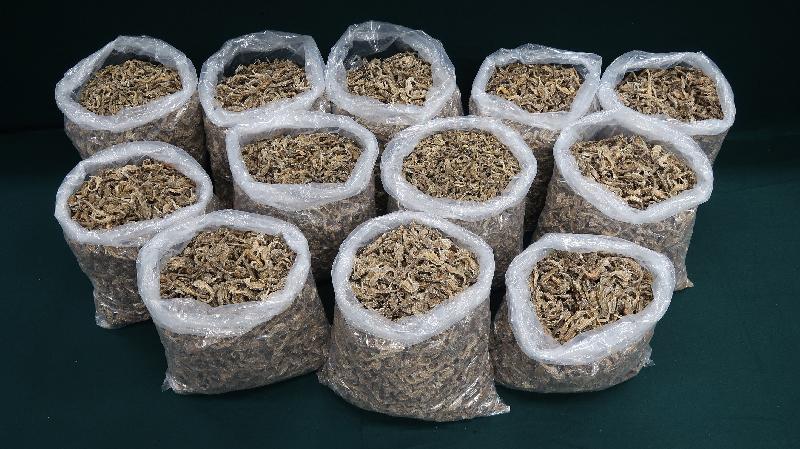 Hong Kong Customs seized about 75 kilograms of suspected scheduled dried seahorses with an estimated market value of about $1 million at Lok Ma Chau Control Point and in Tuen Mun on November 25 and 26 respectively. Photo shows the suspected scheduled dried seahorses seized.