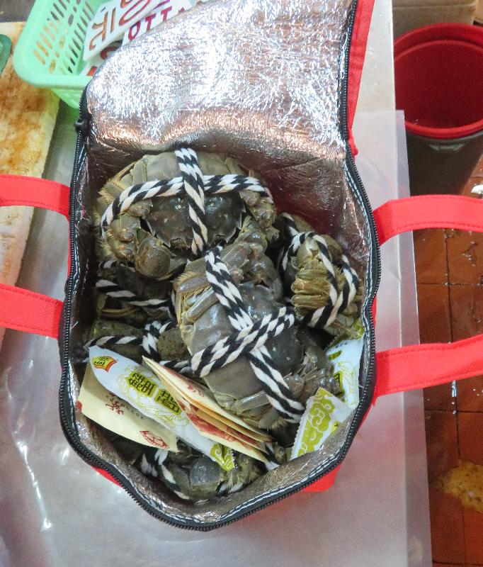食物環境衞生署於十一月二十六日在屯門新墟街市採取突擊行動，打擊非法銷售大閘蟹。圖示行動中檢獲的大閘蟹。