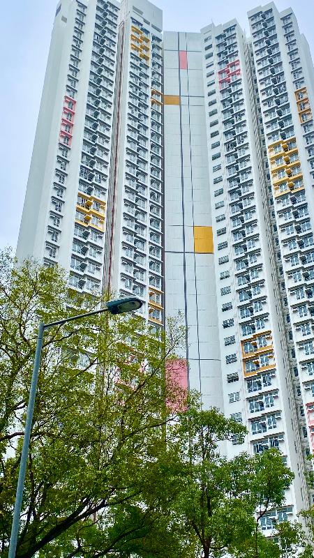 Chun Yeung Estate is integrated with the artistic atmosphere in Fo Tan. The style of 20th century artist Piet Mondrian is worked into the building facades of Chun Yeung Estate.