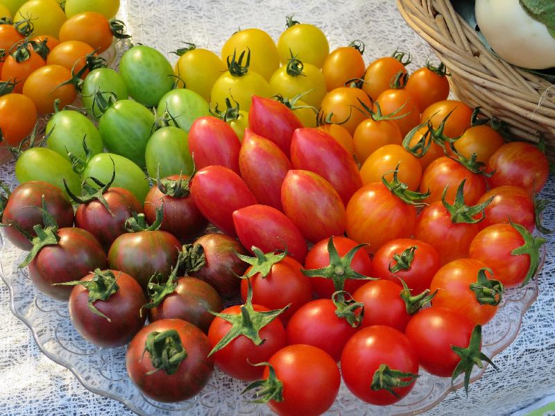 The one-month FarmFest 2021 is held online from today (January 8) to February 7 to showcase a variety of local agricultural and fisheries products and gourmet food. Photo shows a variety of local cherry tomatoes available at FarmFest website.