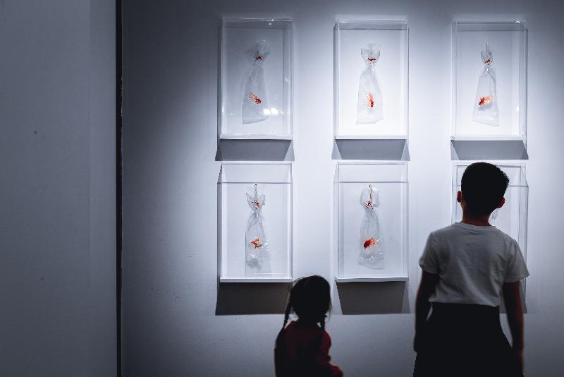 藝術推廣辦事處與香港設計師協會共同籌劃大灣區藝術展覽系列「創><藝互聯」，第二個展覽「生活裏不在意的它」於二月六日在深圳南頭古城展開。圖示藝術家許開嬌的作品《膠袋上的刺繡》。