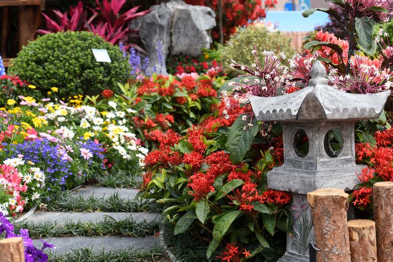 The Online Hong Kong Flower Show 2021, presented by the Leisure and Cultural Services Department, is holding an online voting activity for people to vote for their favourite Oriental-style garden plot and their favourite Western-style garden plot from the 18 districts. Eighteen Oriental-style or Western-style garden plots are being exhibited at designated parks in Hong Kong until April 19, and the public may enjoy an entertaining 3D virtual tour through the dedicated website (www.hkflowershow.hk). Pictured is an Oriental garden plot with simple and elegant arrangements.