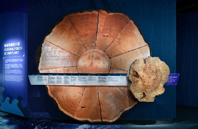 The Hong Kong Science Museum's new Earth Science Gallery will be open to the public from tomorrow (April 23). Picture shows an actual tree ring, with an explanation of its relationship with climate change.