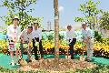 Kai Tak Development to feature green road network Photo 1
