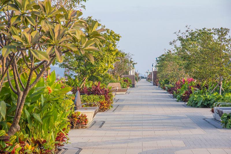 The Kai Tak Sky Garden, situated at the former runway of Kai Tak, opened today (May 21). The corridor of the sky garden, planted with different kinds of trees and shrubs, is divided into four zones around the themes of spring, summer, autumn and winter.
