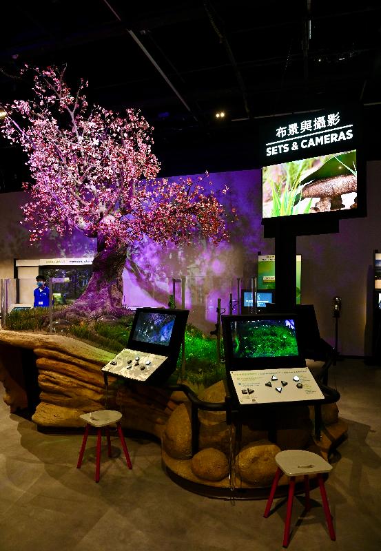 The exhibition "The Science Behind Pixar" will be held at the Hong Kong Science Museum from tomorrow (July 30). Picture shows the Sets & Cameras section where visitors can move cameras to create the bug's-eye view seen in "A Bug's Life".