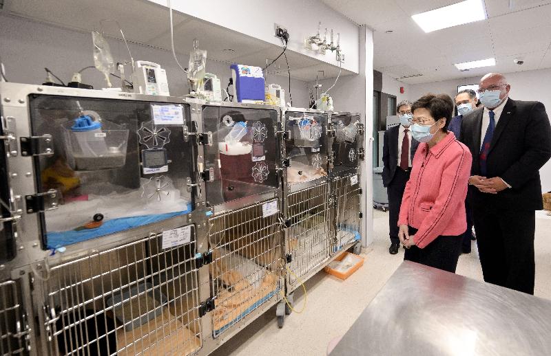 The Chief Executive, Mrs Carrie Lam, today (August 3) visited the City University of Hong Kong (CityU) Veterinary Medical Centre (VMC) in Sham Shui Po. Photo shows Mrs Lam (second left), accompanied by the Chairman of the Council of CityU, Mr Lester Huang (second left), and the President of CityU, Professor Way Kuo (first left), receiving a briefing from the Executive Director of the CityU VMC, Dr Duncan Hockley (first right), on the facilities of a dog ward.