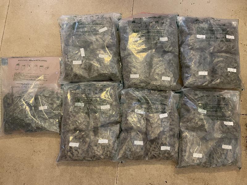 Hong Kong Customs yesterday (August 5) smashed a suspected cannabis growing den in Yuen Long. Photo shows the suspected cannabis buds seized inside the den.