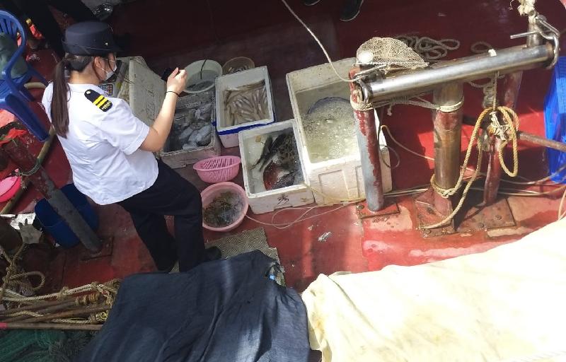 食物環境衞生署今日（九月十四日）與海事處及警方採取聯合行動，打擊在屯門避風塘海旁及青山灣海濱長廊一帶的非法販賣魚類海產活動，以保障食物安全。