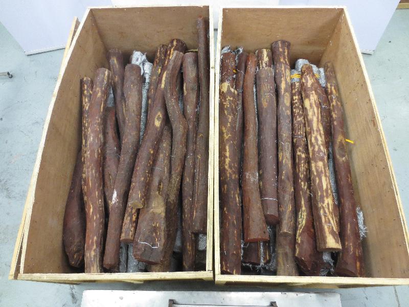 Hong Kong Customs today (October 7) seized about 3 186 kilograms of suspected scheduled red sandalwood, with an estimated market value of about $2.16 million, at Hong Kong International Airport. Photo shows the suspected scheduled red sandalwood seized.