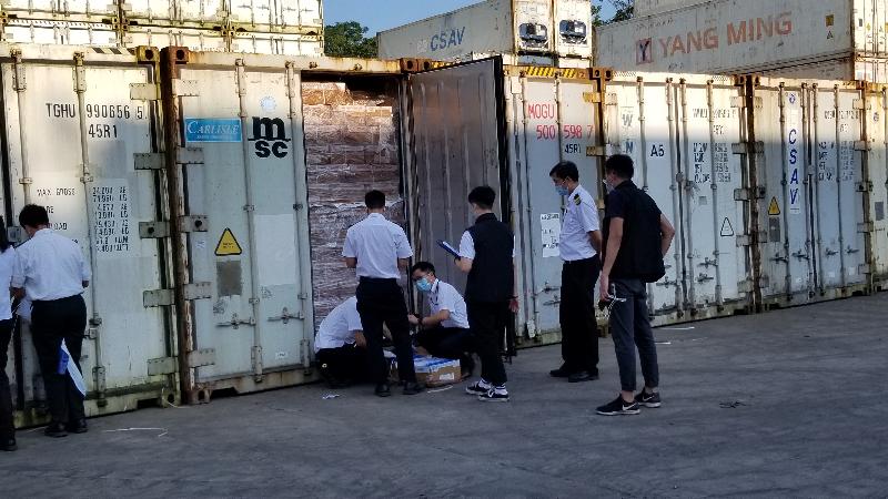 In a joint operation with the Police yesterday (October 18), the Food and Environmental Hygiene Department (FEHD) raided an unlicensed cold store at Mai Po Lung Road, Lok Ma Chau. Photo shows FEHD officers examining the containers in the premises.