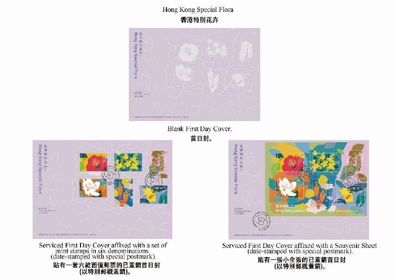 香港郵政十一月十六日（星期二）發行以「香港特別花卉」為題的特別郵票及相關集郵品。圖示首日封。