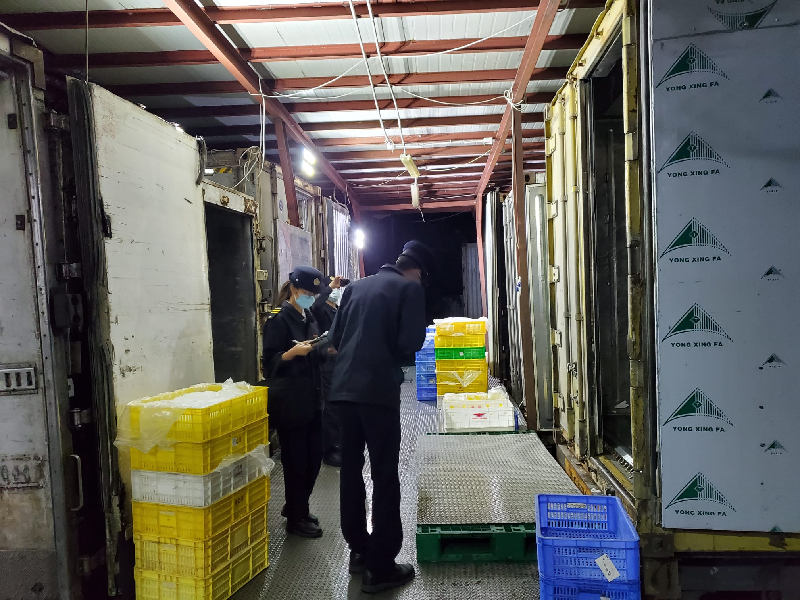 In a joint operation with the Police, the Fire Services Department and the Electrical and Mechanical Services Department today (November 10), the Food and Environmental Hygiene Department (FEHD) raided two unlicensed cold stores at Ka Lung Road, Yuen Long. Photo shows FEHD officers inspecting some of the products found.