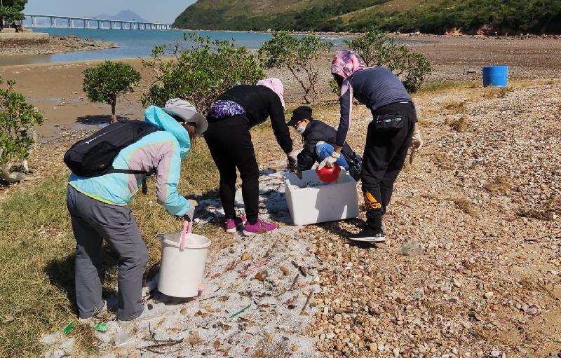 The Hong Kong Special Administrative Region Government received on November 8 notification from Shenzhen Municipal Government on containers that fell overboard. Government departments conducted a joint operation at the shoreline of Po Chue Tam, Tai O, today (November 11) to clean up the plastic pellets released from a container that fell overboard. Photo shows Environmental Protection Department Shoreline Wardens carrying out clean-up work. 