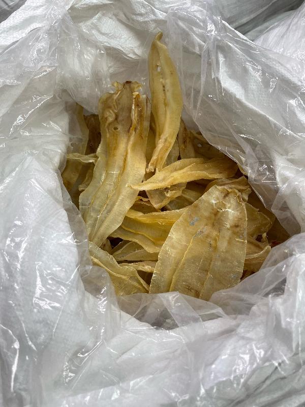 Hong Kong Customs and the Marine Police mounted a joint anti-smuggling operation on November 13 and detected a suspected speedboat-related smuggling case in Tung Chung. A batch of suspected smuggled goods, including high-value food, electronic products and veterinary products, with an estimated value of about $21 million was seized. Photo shows some of the suspected smuggled dried fish maws seized.